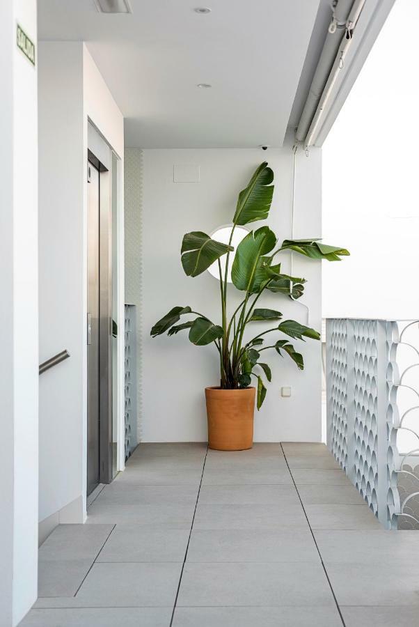 Apartamentos Y Estudios Centricos Conil Home Suite Conil De La Frontera Eksteriør bilde