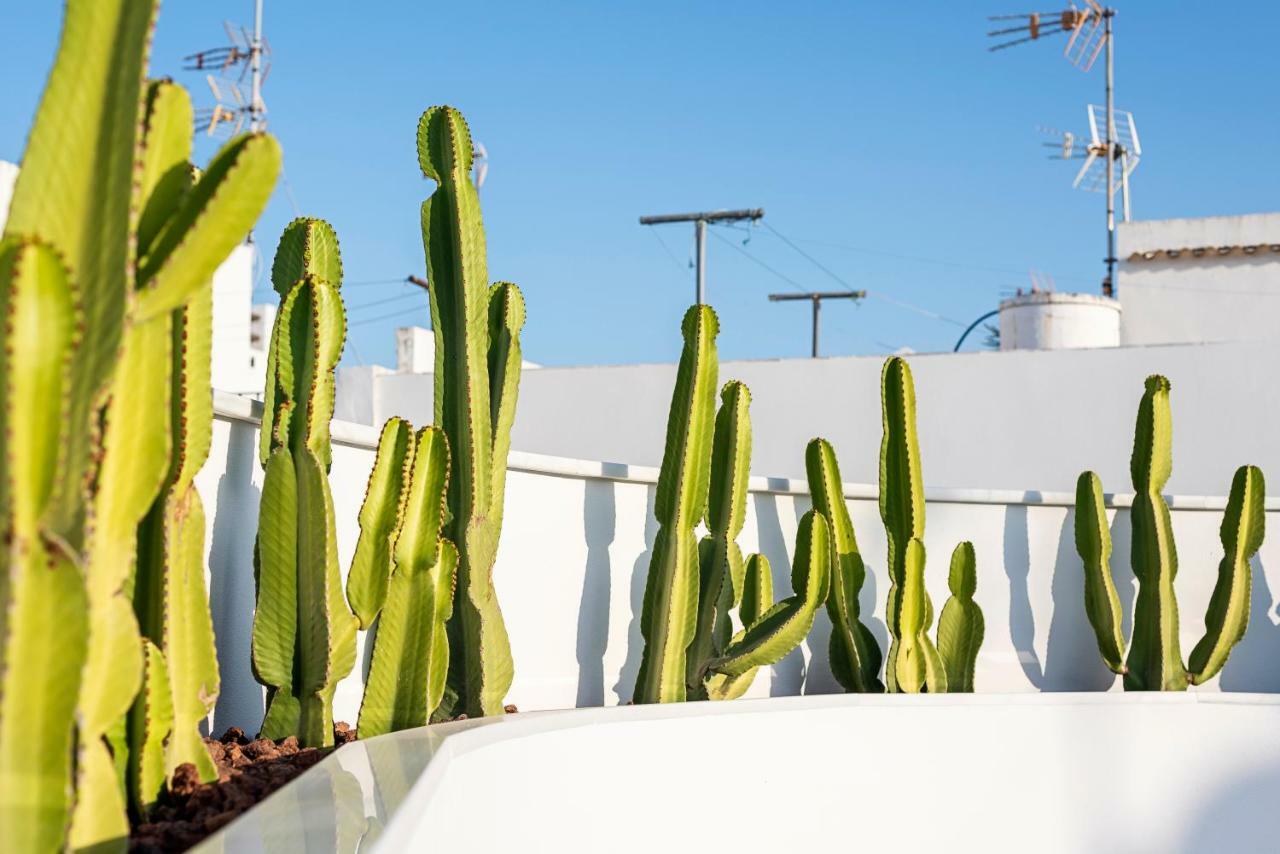 Apartamentos Y Estudios Centricos Conil Home Suite Conil De La Frontera Eksteriør bilde